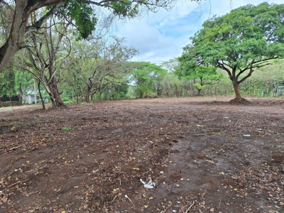 Lot one block from the Interamericana Highway, Chame - image 4