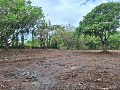 Lot one block from the Interamericana Highway, Chame - image 6