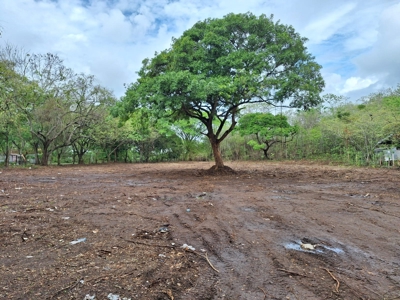 Lot one block from the Interamericana Highway, Chame - image 7