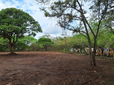 Lot one block from the Interamericana Highway, Chame - image 2