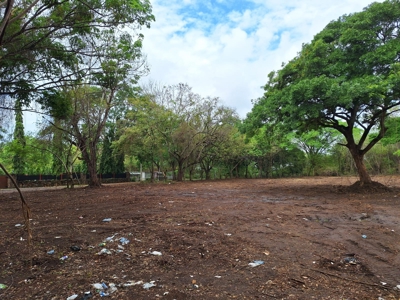 Lot one block from the Interamericana Highway, Chame - image 1