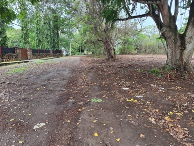 Lot one block from the Interamericana Highway, Chame - image 3