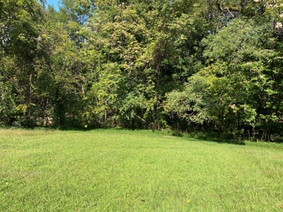 Fix it, Flip it or Make it Yours - 1999 Doublewide on 1 Acre - image 4