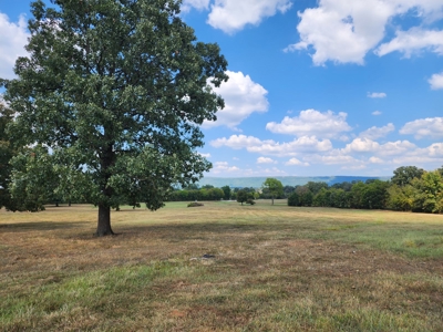 Walker Mountain Country Home Site – Near National Forest - image 8