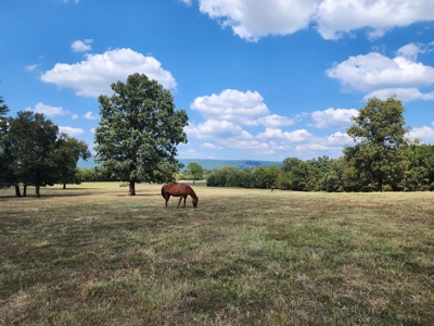 Walker Mountain Country Home Site – Near National Forest - image 16