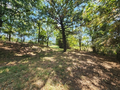 Walker Mountain Country Home Site – Near National Forest - image 11