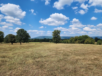 Walker Mountain Country Home Site – Near National Forest - image 1