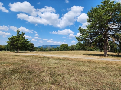 Walker Mountain Country Home Site – Near National Forest - image 6
