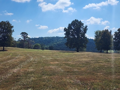 Walker Mountain Country Home Site – Near National Forest - image 9