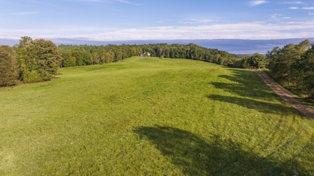 Home and Farm for Sale in Floyd VA - image 42