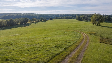 Home and Farm for Sale in Floyd VA - image 36