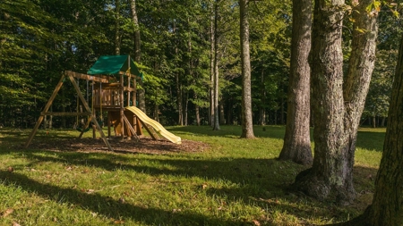 Home and Farm for Sale in Floyd VA - image 38