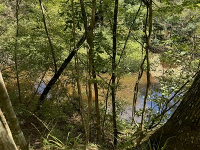 120 Acre Hunter's Paradise in South MS for Sale - image 24