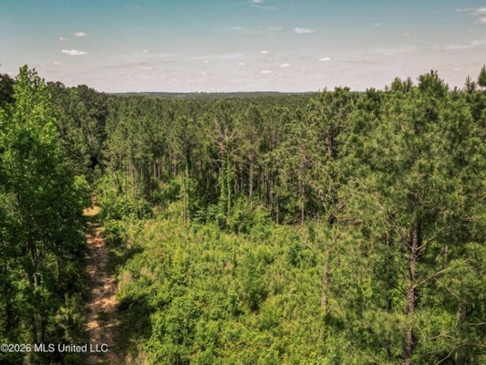 120 Acre Hunter's Paradise in South MS for Sale