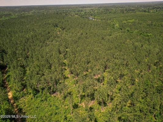 120 Acre Hunter's Paradise in South MS for Sale
