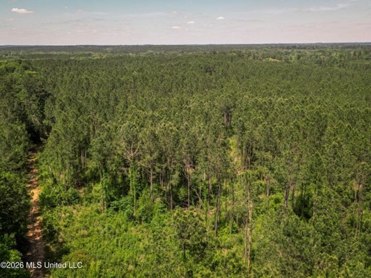 120 Acre Hunter's Paradise in South MS for Sale