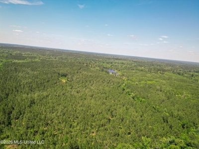 120 Acre Hunter's Paradise in South MS for Sale - image 39