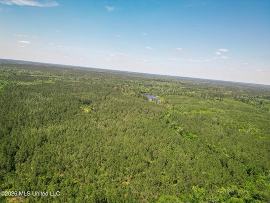 120 Acre Hunter's Paradise in South MS for Sale