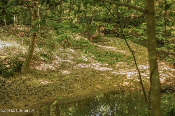 120 Acre Hunter's Paradise in South MS for Sale
