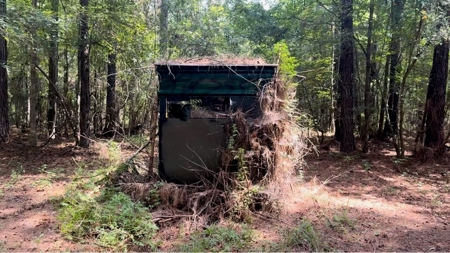 120 Acre Hunter's Paradise in South MS for Sale - image 44