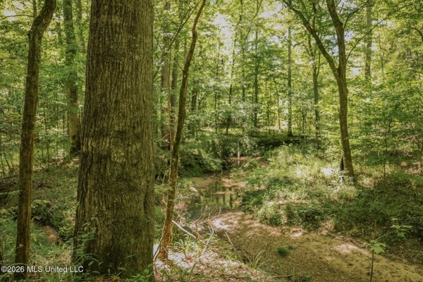 120 Acre Hunter's Paradise in South MS for Sale