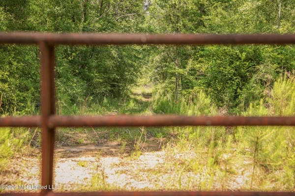 120 Acre Hunter's Paradise in South MS for Sale