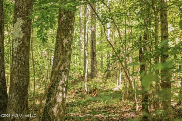 120 Acre Hunter's Paradise in South MS for Sale