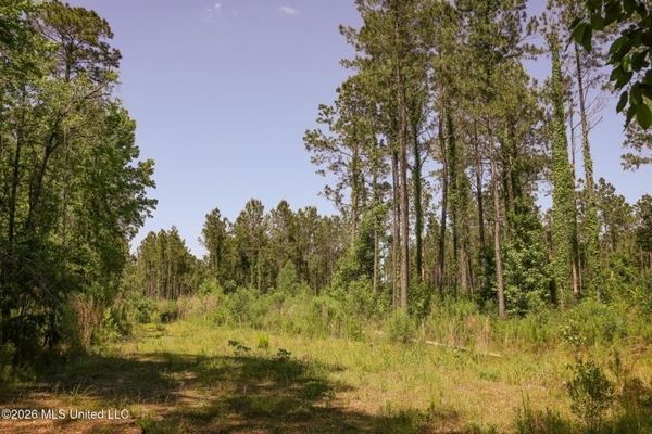 120 Acre Hunter's Paradise in South MS for Sale