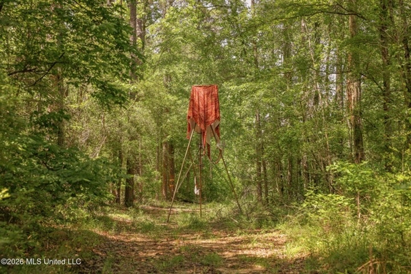 120 Acre Hunter's Paradise in South MS for Sale