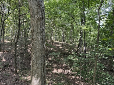 120 Acre Hunter's Paradise in South MS for Sale - image 27