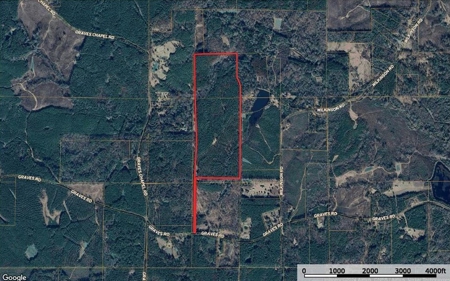 120 Acre Hunter's Paradise in South MS for Sale - image 49