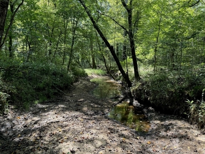 120 Acre Hunter's Paradise in South MS for Sale - image 34