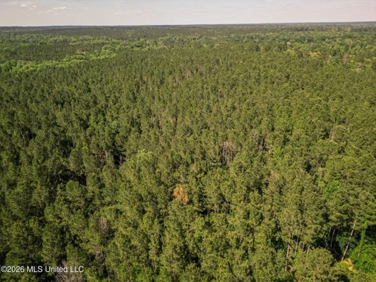 120 Acre Hunter's Paradise in South MS for Sale