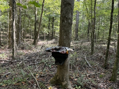 120 Acre Hunter's Paradise in South MS for Sale - image 38