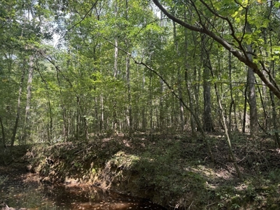 120 Acre Hunter's Paradise in South MS for Sale - image 16