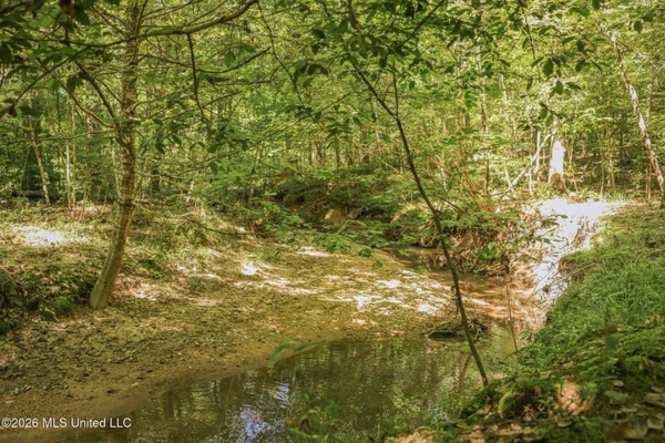 120 Acre Hunter's Paradise in South MS for Sale