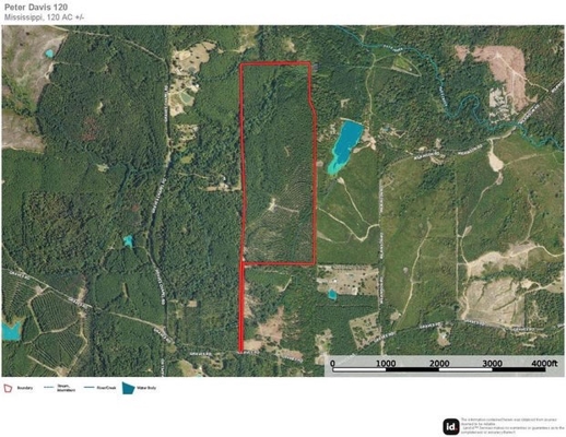 120 Acre Hunter's Paradise in South MS for Sale