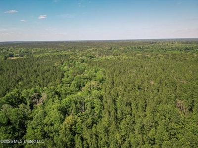 120 Acre Hunter's Paradise in South MS for Sale - image 45