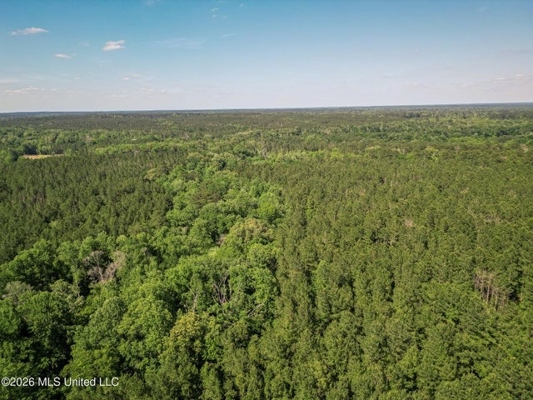 120 Acre Hunter's Paradise in South MS for Sale