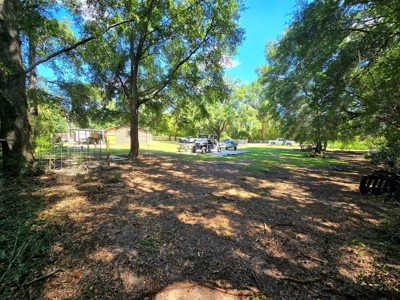 Columbia County, Florida Land For Sale In North Florida - image 4