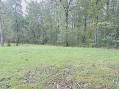 Remodeled House For Sale In Arkansas - image 18