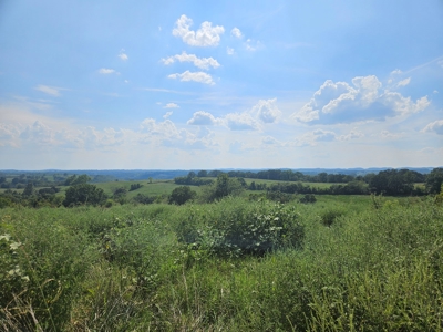 Missouri Ozarks 225 Acre Cattle Ranch with Hay Grounds - image 35