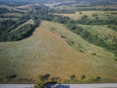 Missouri Ozarks 225 Acre Cattle Ranch with Hay Grounds - image 2