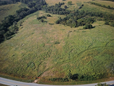 Missouri Ozarks 225 Acre Cattle Ranch with Hay Grounds - image 6