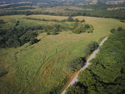 Missouri Ozarks 225 Acre Cattle Ranch with Hay Grounds - image 7