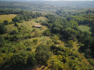 Missouri Ozarks 225 Acre Cattle Ranch with Hay Grounds - image 11