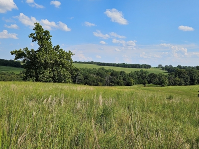 Missouri Ozarks 225 Acre Cattle Ranch with Hay Grounds - image 33