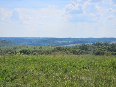 Missouri Ozarks 225 Acre Cattle Ranch with Hay Grounds - image 34