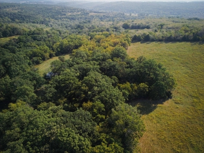 Missouri Ozarks 225 Acre Cattle Ranch with Hay Grounds - image 12