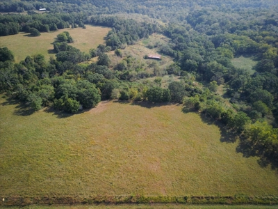 Missouri Ozarks 225 Acre Cattle Ranch with Hay Grounds - image 10